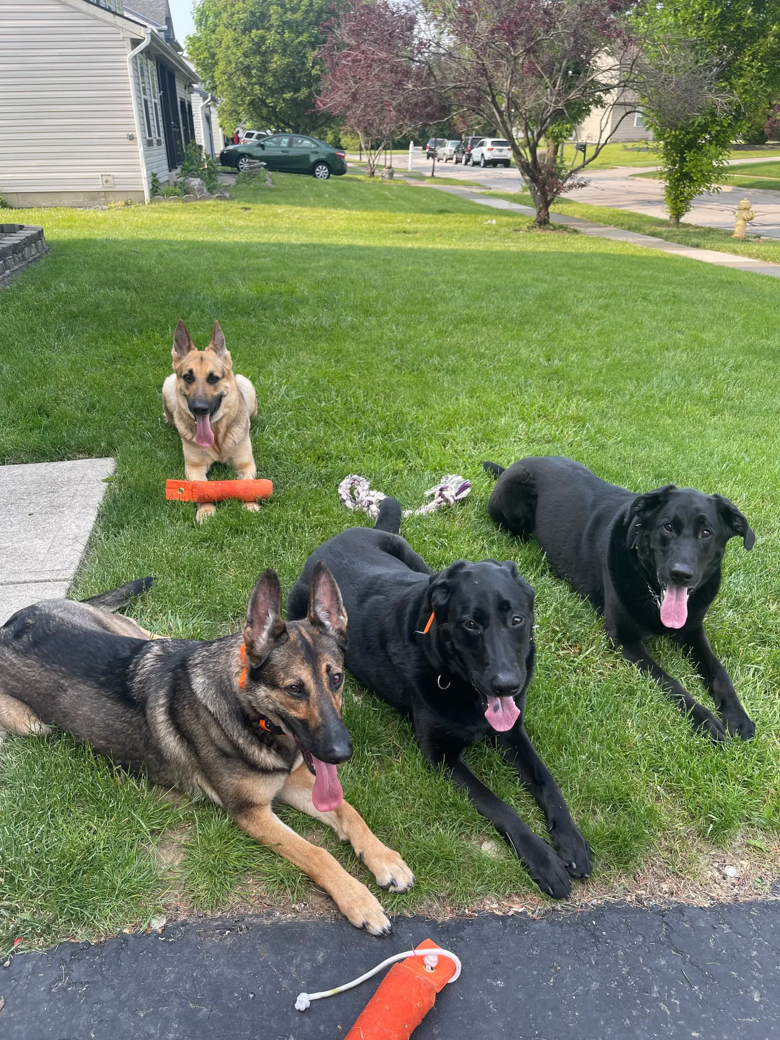 Group lessons graduate