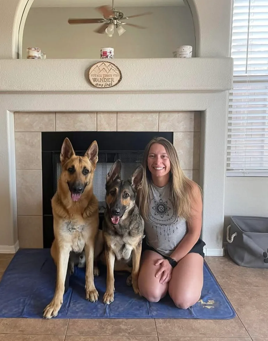Brittany working with a client's dog