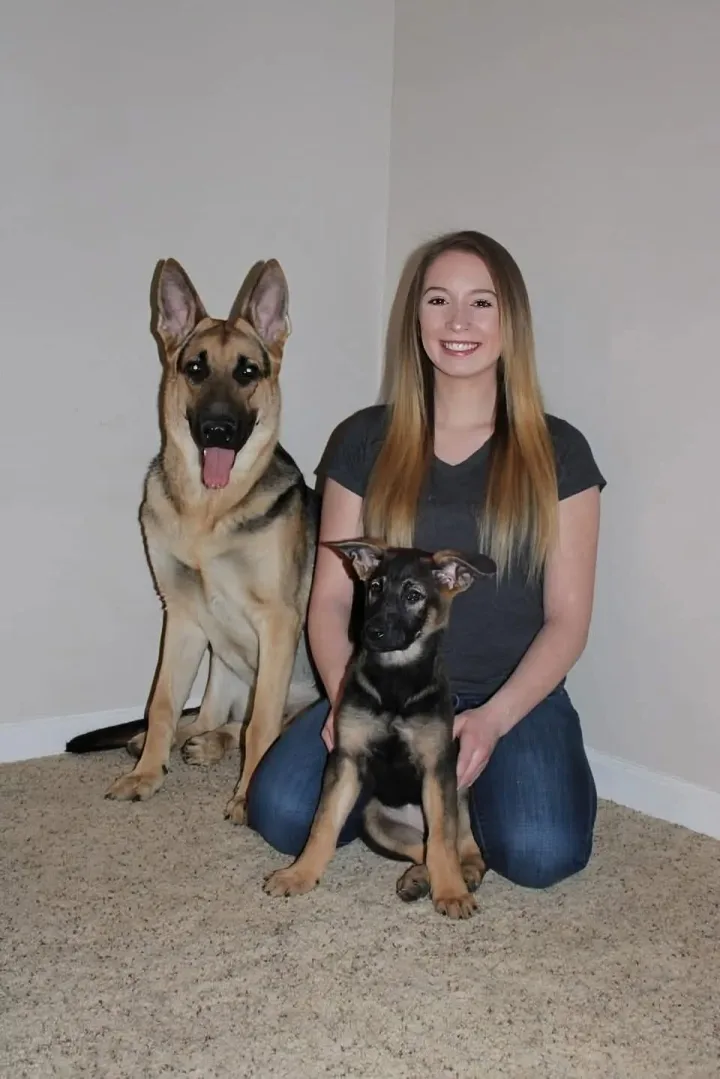 Brittanys K9 Training - photo 49 of 146