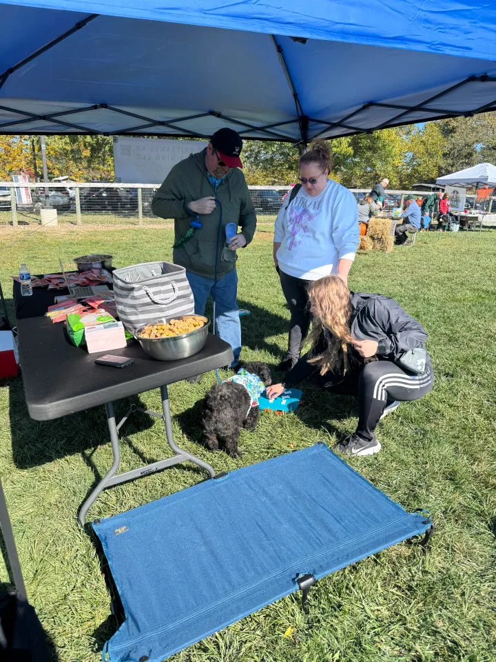 Brittanys K9 Training - photo 54 of 146