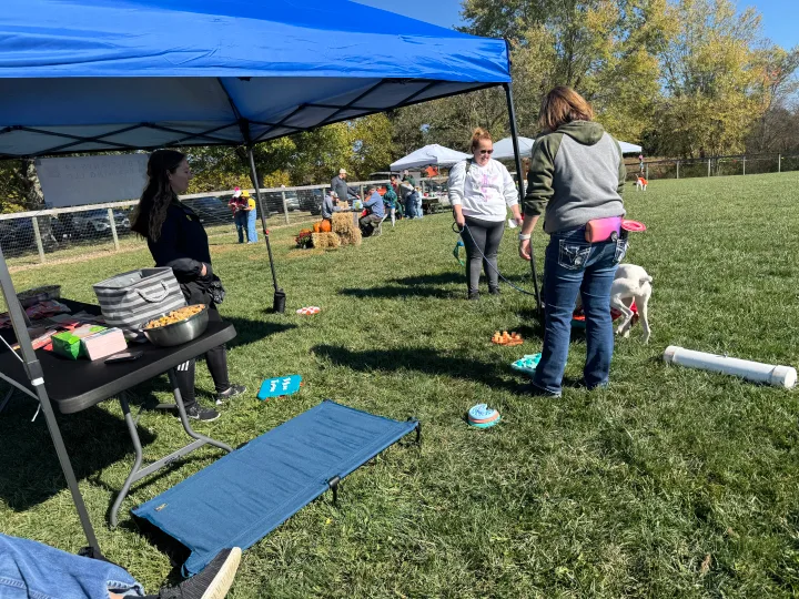 Brittanys K9 Training - photo 55 of 146