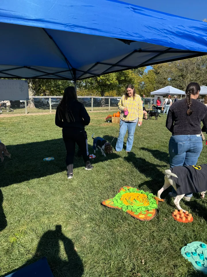 Brittanys K9 Training - photo 57 of 146