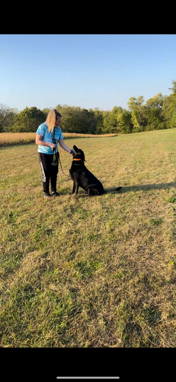 Brittanys K9 Training - photo 75 of 146