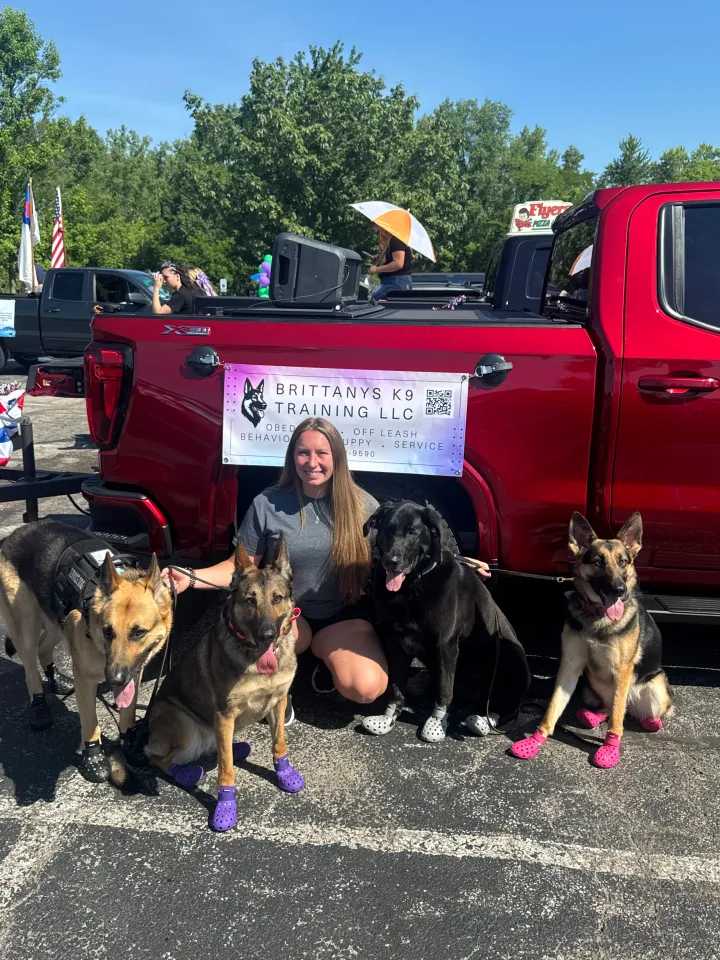 Brittanys K9 Training - photo 86 of 146