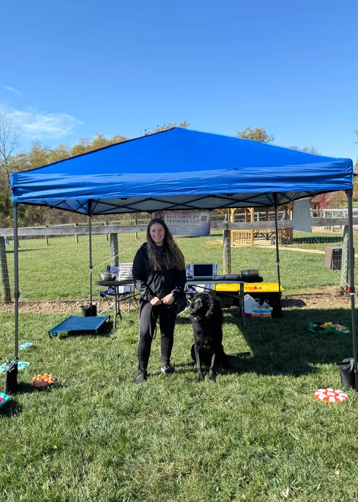 Brittanys K9 Training - photo 106 of 146